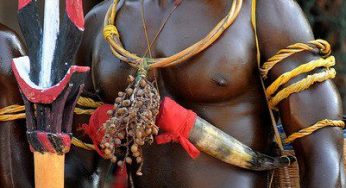 Bijago tribe adult initiated warrior in his traditional outfit.